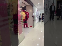 शेर का नृत्य 1