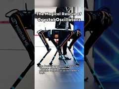 रोबोट कुत्ते